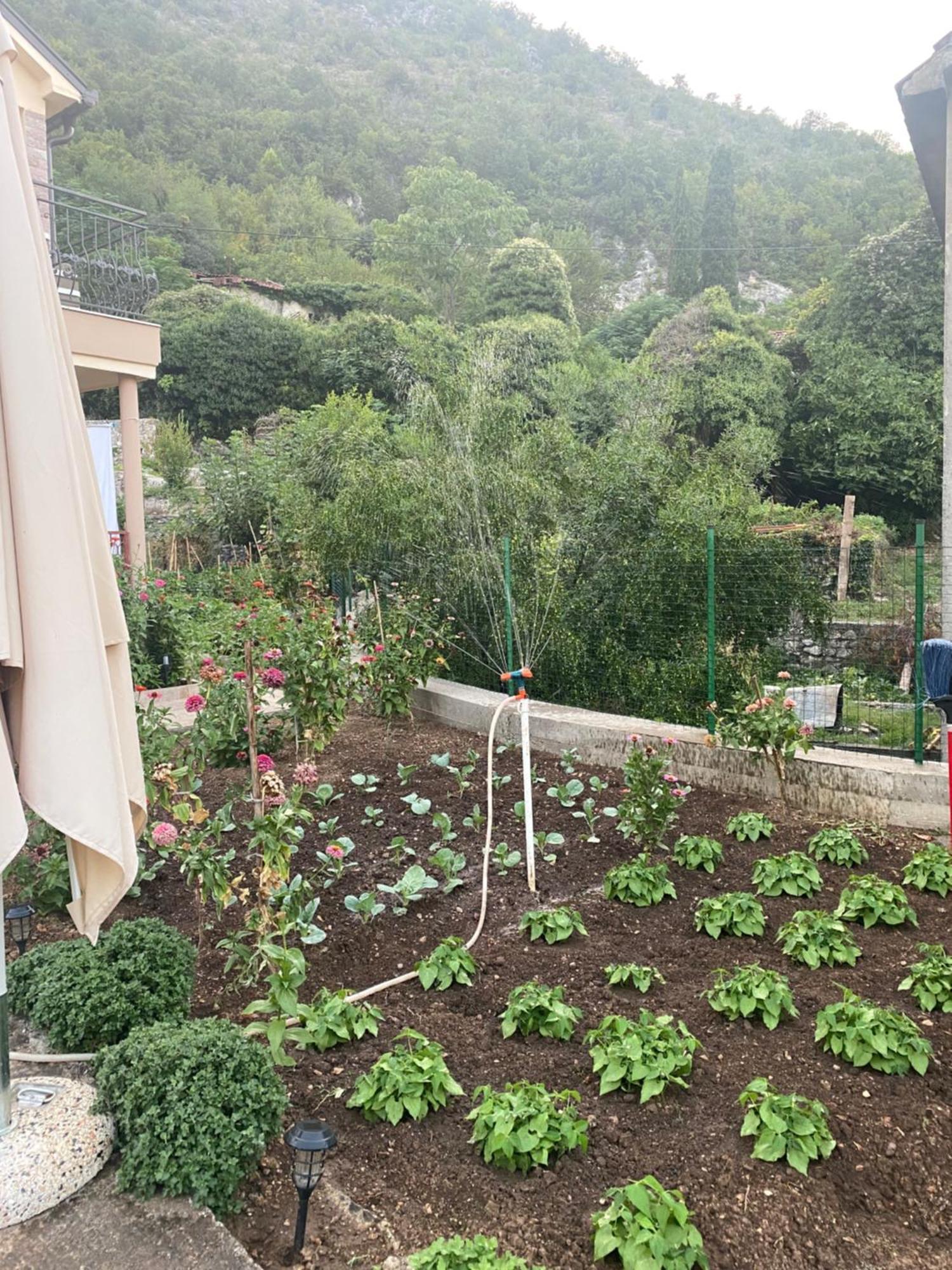 Village House Dunja Virpazar Exterior photo